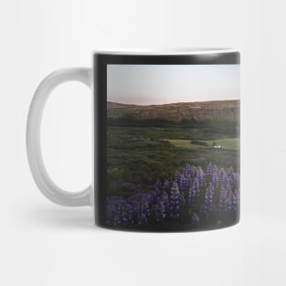 Lupine Flowers in Blossom During Midnight Sunset in Iceland Mug